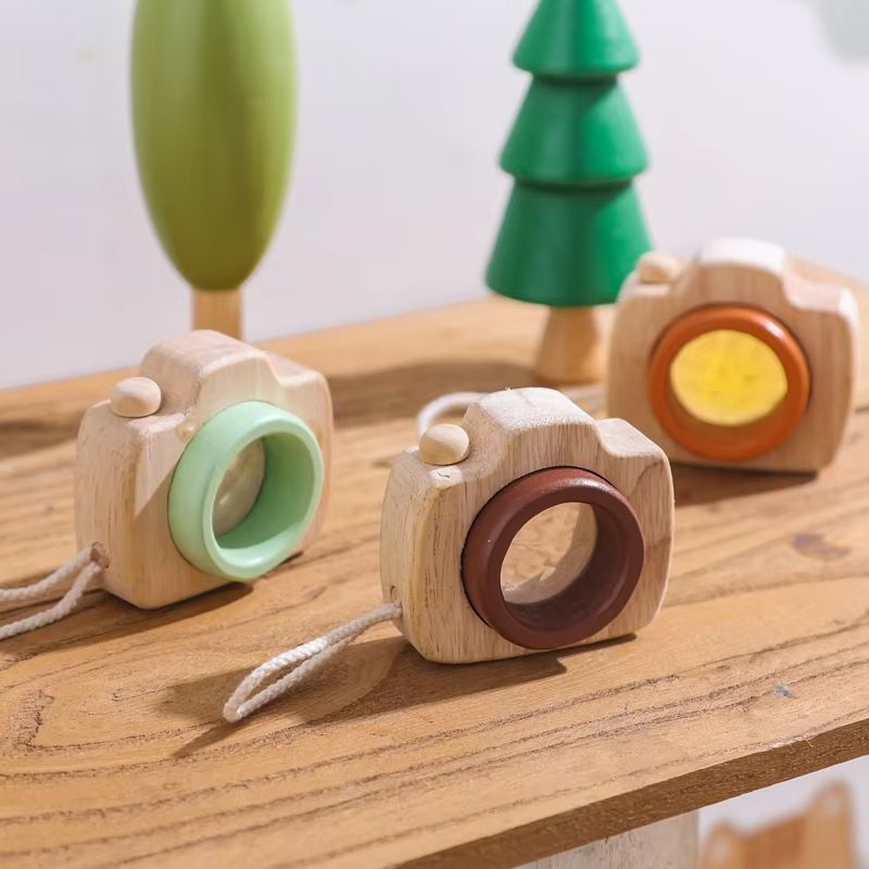 Wooden Magnifying Glass Mini C - Science Kit review and price