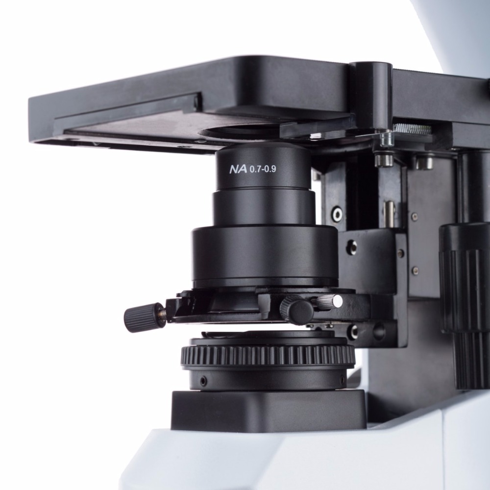 AmScope Infinity-corrected Dar - Amscope Microscope Compound 40X-1000X review and price